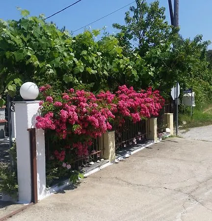 苏子公寓 公寓 基尼拉